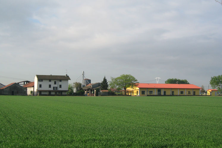 Azienda Agricola Cirenaica
